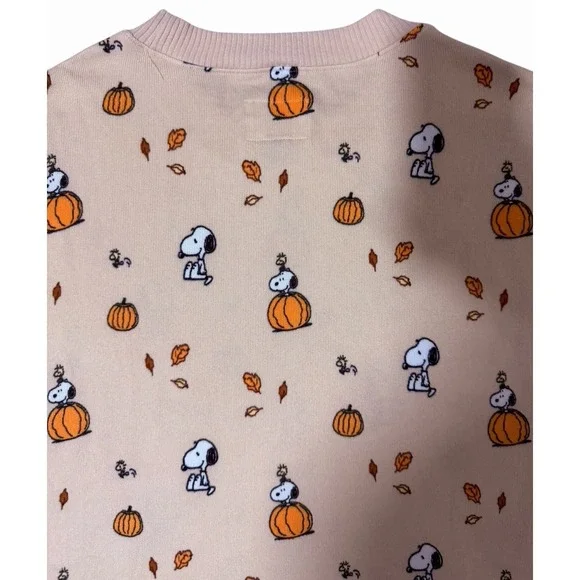 American Eagle Peanuts Fall Pumpkin Snoopy Plush Pajama Set Women's Size Large - Picture 4 of 16